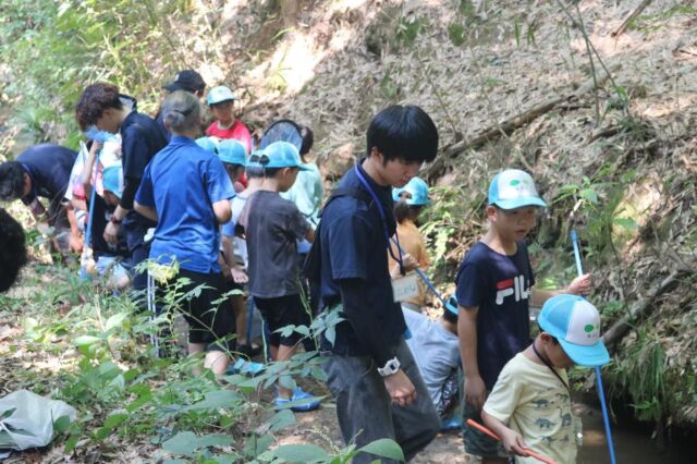 【第4回　森のがっこういきものみっけ隊活動報告】

9月8日（日）は「森のがっこういきものみっけ隊」の活動日でした。

今回のテーマは「森の奥を流れる川や池に住むいきものをみつけよう！」

今回はアクトランドの外に出ていきもの探し。
恩智神社の近くにある川で、森の中を流れる川に住むいきものをみつけに行きました。

サワガニのようなきれいな水でしか住むことができないいきもの、カエルやヤゴなど水辺ならではのいきものがたくさんみつかりました！

お昼ごはんは、好きな具材をトッピングした「冷やし中華」。
ハムやコーン、カニカマなど様々な具材をトッピングして、オリジナルの冷やし中華をおいしくいただきました。

お昼ごはんを食べた後は、サワガニ＆ザリガニ釣り！
自分の釣竿を作り、午前中に見つけたサワガニやビオトープ池のザリガニを釣って楽しみました。

おやつはアイスの上にポッキーなどを盛り付けたアイスパフェを作って食べたら今回の活動はおしまい！

普段あまり触れることのない水辺のいきものにたくさん触れることができた活動回となりました。

次回は１０月に活動します。お楽しみに！

#大阪 #八尾市 #アクトランドYAO #キャンプ場 #森のがっこう #小学生 #子ども
#サワガニ #ザリガニ #釣竿作り #サワガニ釣り #ザリガニ釣り #冷やし中華 #自然体験 #アウトドア #外遊び #恩智